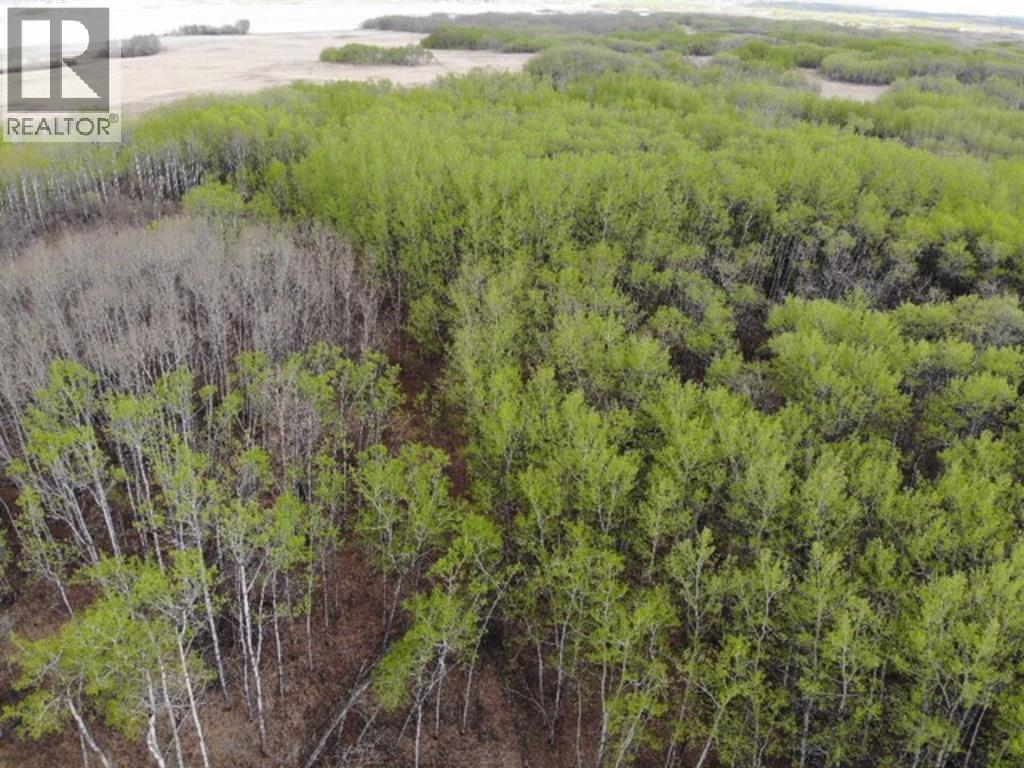 26 450031 73 Range, Rural Wainwright No. 61, Alberta  T9W 1L5 - Photo 4 - A1150693