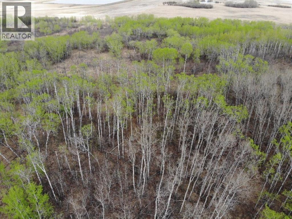 26 450031 73 Range, Rural Wainwright No. 61, Alberta  T9W 1L5 - Photo 3 - A1150693