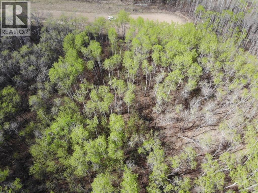 25 450031 73 Range, Rural Wainwright No. 61, Alberta  T9W 1L5 - Photo 4 - A1150699