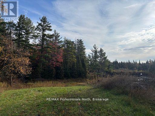 4326 County Road 121 Road, Minden Hills, Ontario  K0M 2A1 - Photo 2 - X12713642