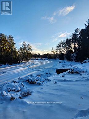 4326 County Road 121 Road, Minden Hills, Ontario  K0M 2A1 - Photo 6 - X12713642