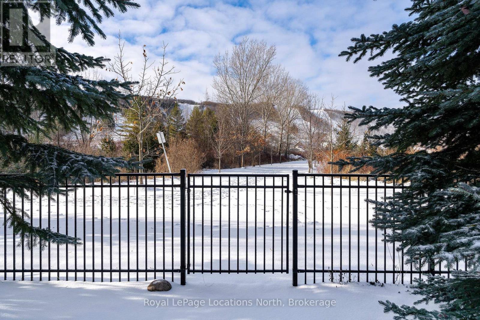 143 National Drive, Blue Mountains, Ontario  L9Y 0B7 - Photo 40 - X12713862