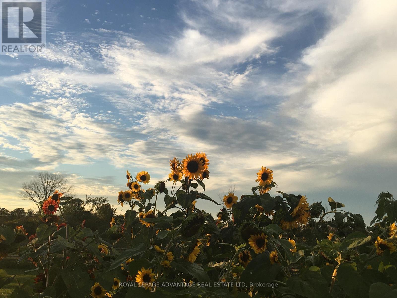 3183a Thousand Acre Road, Rideau Lakes, Ontario  K0G 1V0 - Photo 49 - X12713644