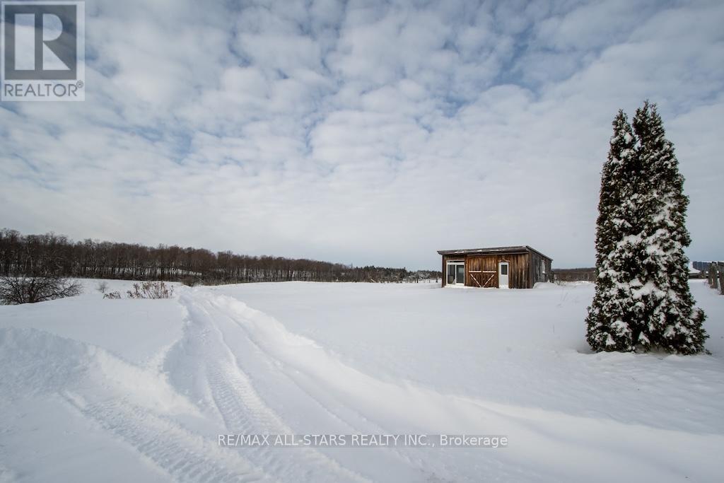 513 Highway 35 S, Kawartha Lakes, Ontario  L0A 1K0 - Photo 36 - X12713664