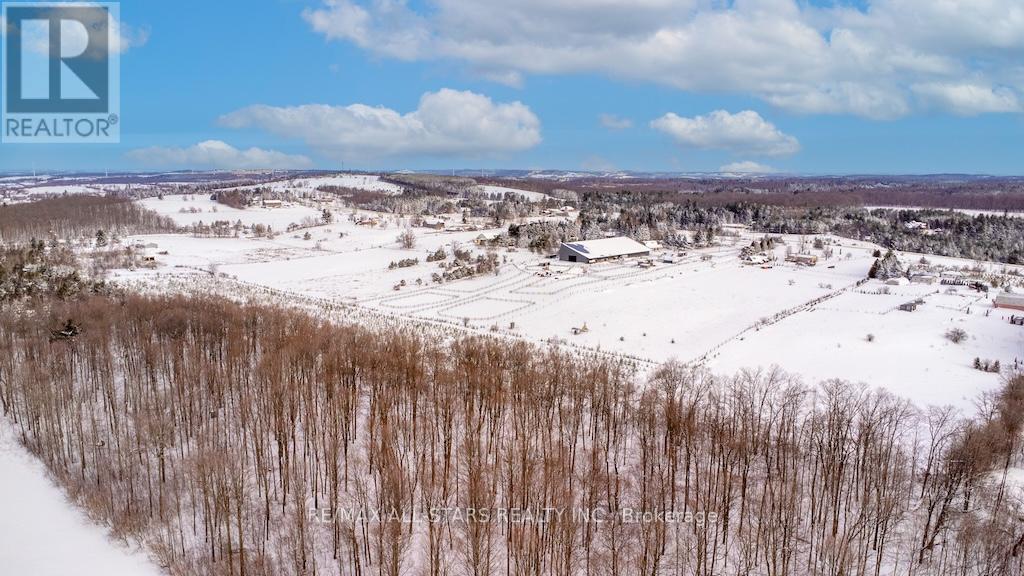 513 Highway 35 S, Kawartha Lakes, Ontario  L0A 1K0 - Photo 39 - X12713664