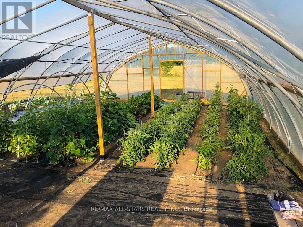 513 Highway 35 S, Kawartha Lakes, Ontario  L0A 1K0 - Photo 48 - X12713664