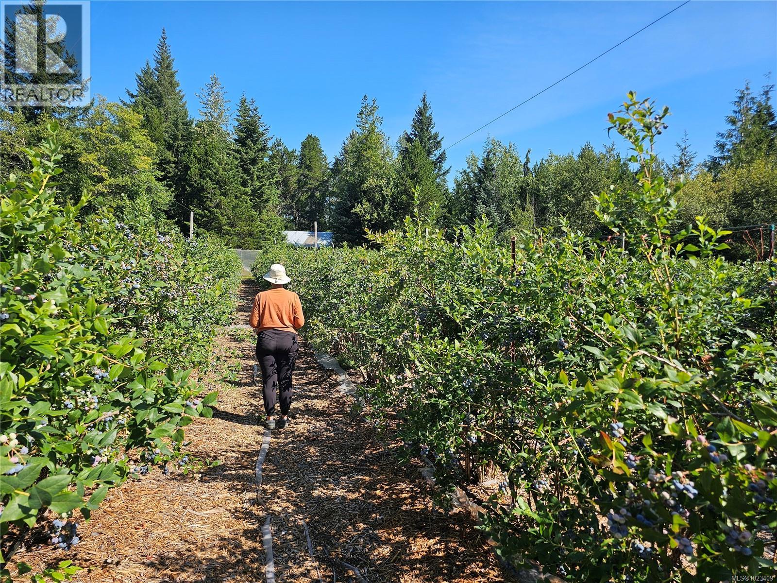 2156 Coleman Rd, Courtenay, British Columbia  V9J 1P2 - Photo 8 - 1023409