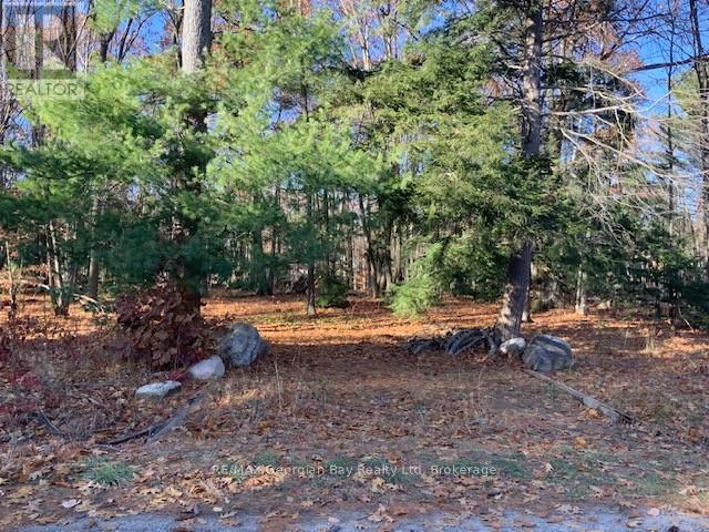 140 Wolfe Trail Nw, Tiny, Ontario L9M 0H7 - Photo 42 - S12704760