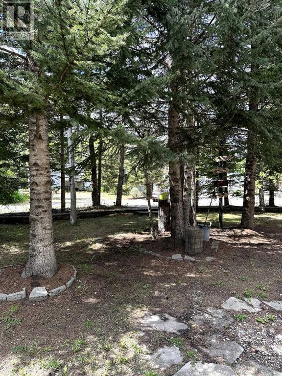 109, 200 4 Avenue Sw, Sundre, Alberta  T0M 1K0 - Photo 4 - A2279916