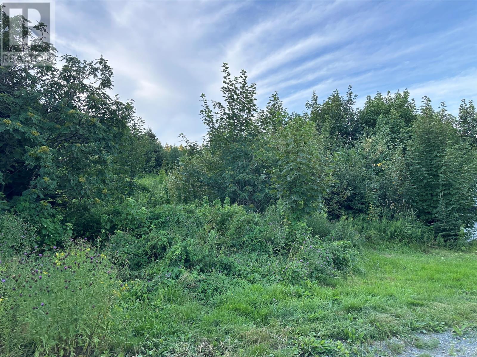 2 Merrigan's Lane, Colliers, Newfoundland & Labrador  A0A 1Y0 - Photo 3 - 1293916