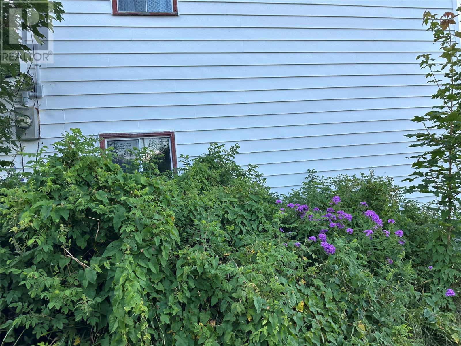 2 Merrigan's Lane, Colliers, Newfoundland & Labrador  A0A 1Y0 - Photo 7 - 1293916