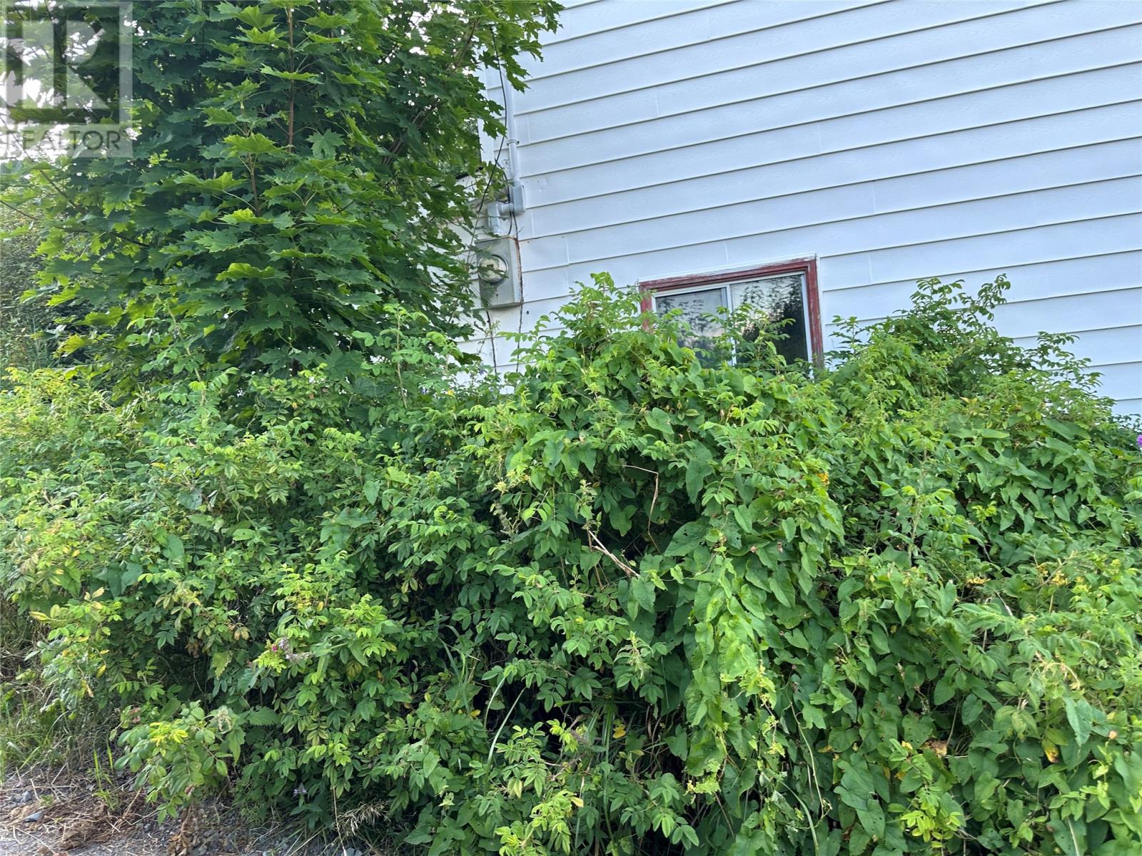 2 Merrigan's Lane, Colliers, Newfoundland & Labrador  A0A 1Y0 - Photo 8 - 1293916