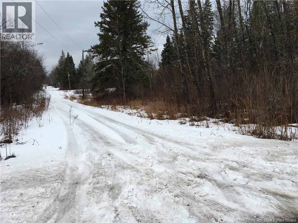 263 Mcnairn Road, Sainte-Marie-De-Kent, New Brunswick  E4S 1W7 - Photo 1 - NB132190
