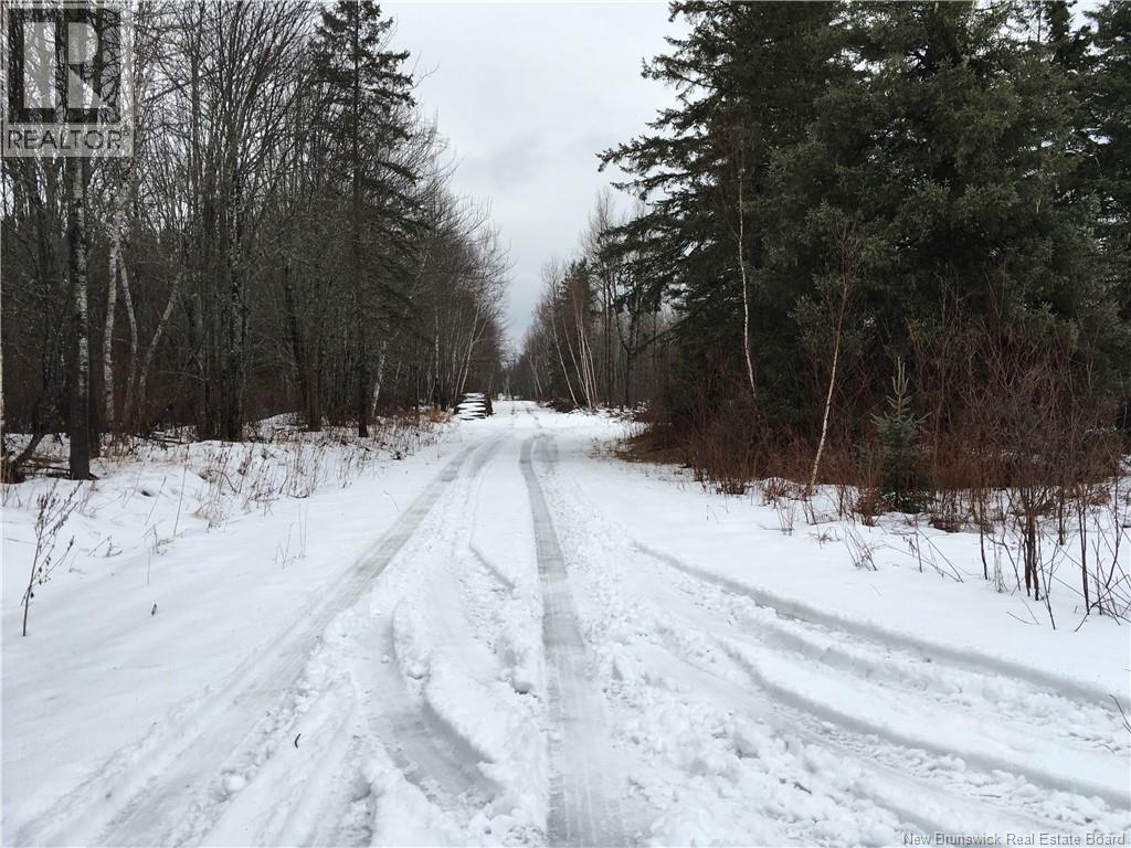 263 Mcnairn Road, Sainte-Marie-De-Kent, New Brunswick  E4S 1W7 - Photo 2 - NB132190