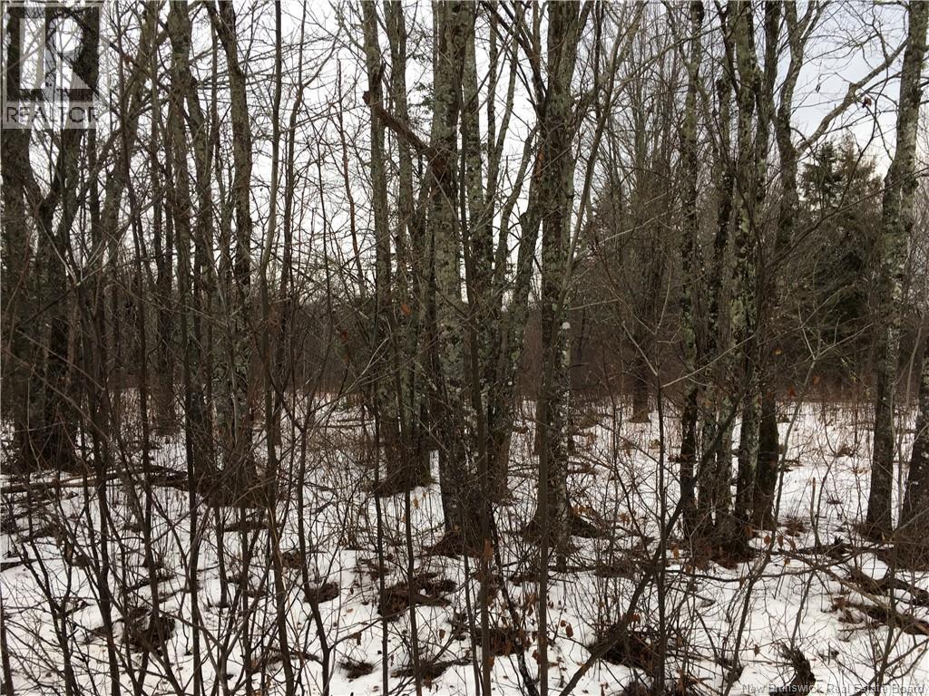 263 Mcnairn Road, Sainte-Marie-De-Kent, New Brunswick  E4S 1W7 - Photo 3 - NB132190