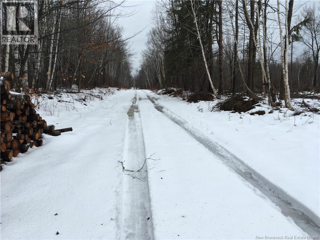 263 Mcnairn Road, Sainte-Marie-De-Kent, New Brunswick  E4S 1W7 - Photo 4 - NB132190