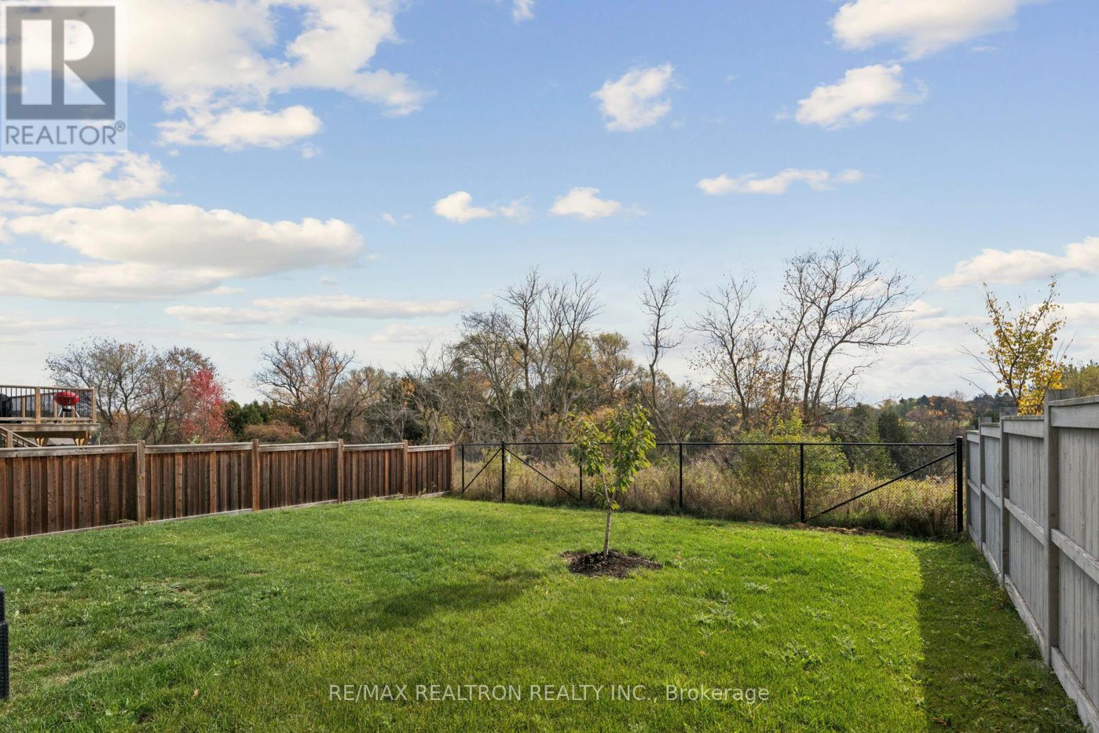 35 Webb Trail, New Tecumseth, Ontario  L0G 1W0 - Photo 35 - N12713888