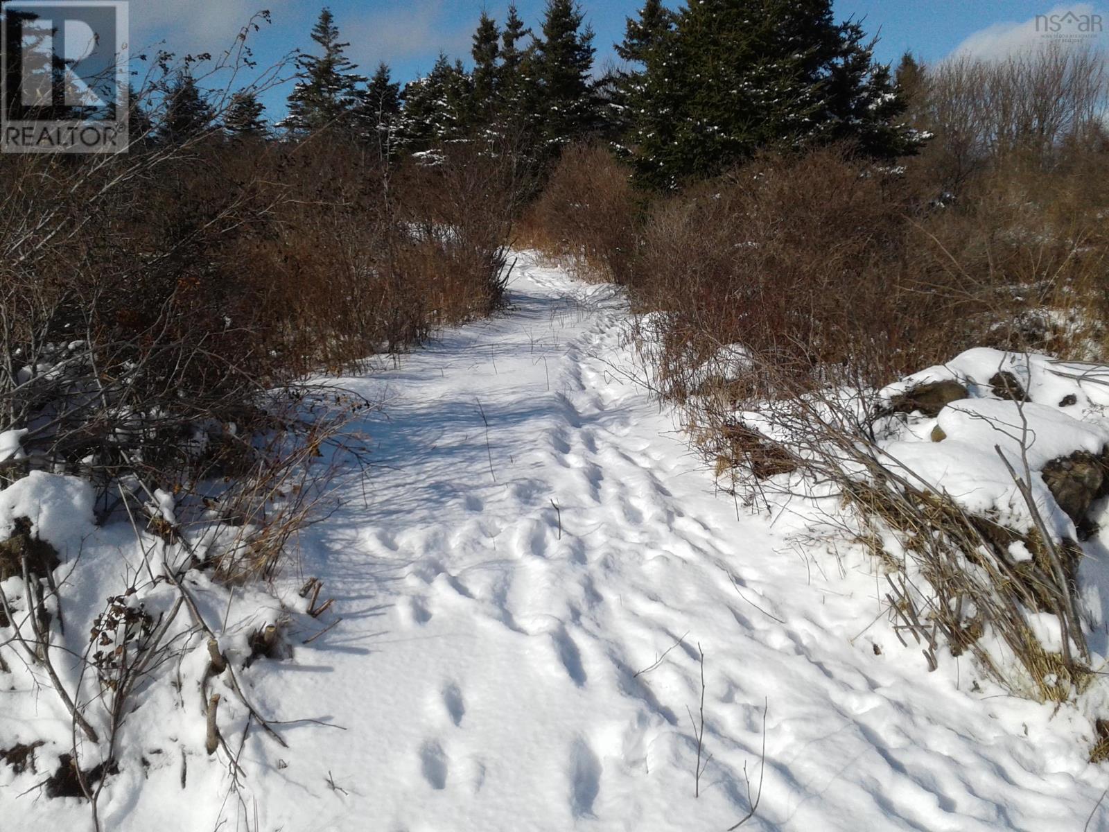 Lot Station Road, Shag Harbour, Nova Scotia  B0W 3B0 - Photo 2 - 202601183