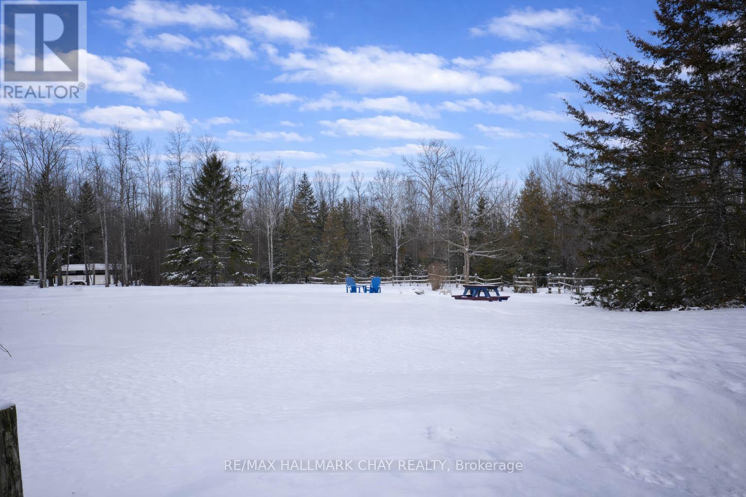 25222 Park Road, Georgina, Ontario  L0E 1R0 - Photo 29 - N12714012