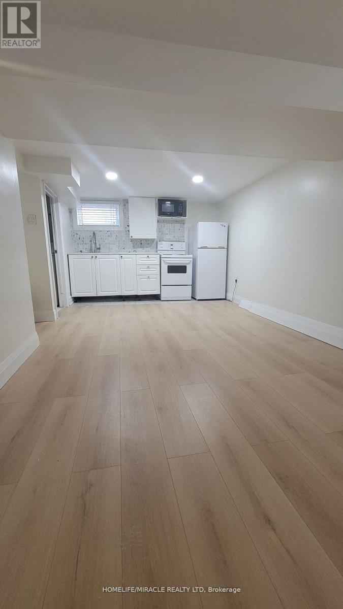 Bsmt - 1058 Alexandra Avenue, Mississauga, Ontario  L5E 2A8 - Photo 3 - W12714172