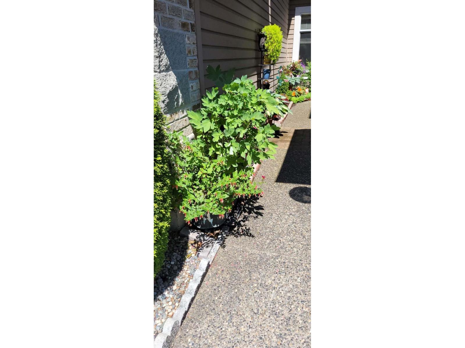 20 15273 24 Avenue, Surrey, British Columbia  V4A 2H9 - Photo 37 - R3080529