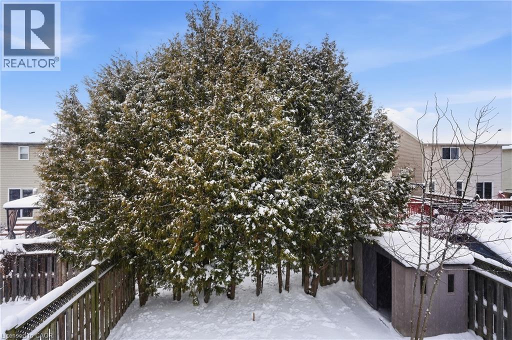 50 Dahlia Street, Kitchener, Ontario  N2E 4B1 - Photo 40 - 40799579