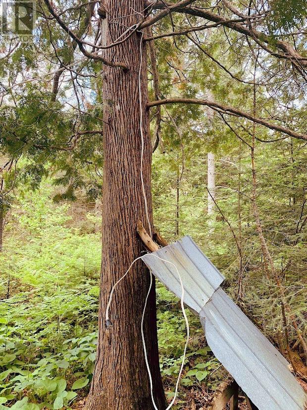 L21c6 Robinson Highway 540 Highway, Silver Water, Ontario  P0P 1Y0 - Photo 12 - 2126148