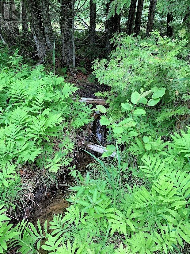 L21c6 Robinson Highway 540 Highway, Silver Water, Ontario  P0P 1Y0 - Photo 13 - 2126148