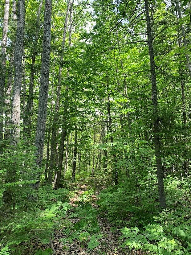 L21c6 Robinson Highway 540 Highway, Silver Water, Ontario  P0P 1Y0 - Photo 18 - 2126148