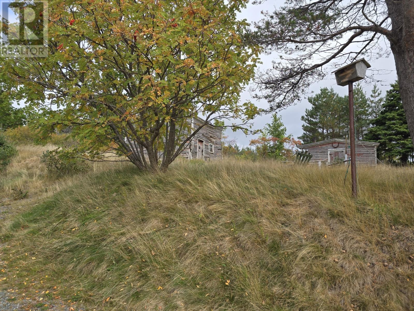 5-9 Spracklins Lane, Brigus, Newfoundland & Labrador  A0A 1K0 - Photo 21 - 1291241