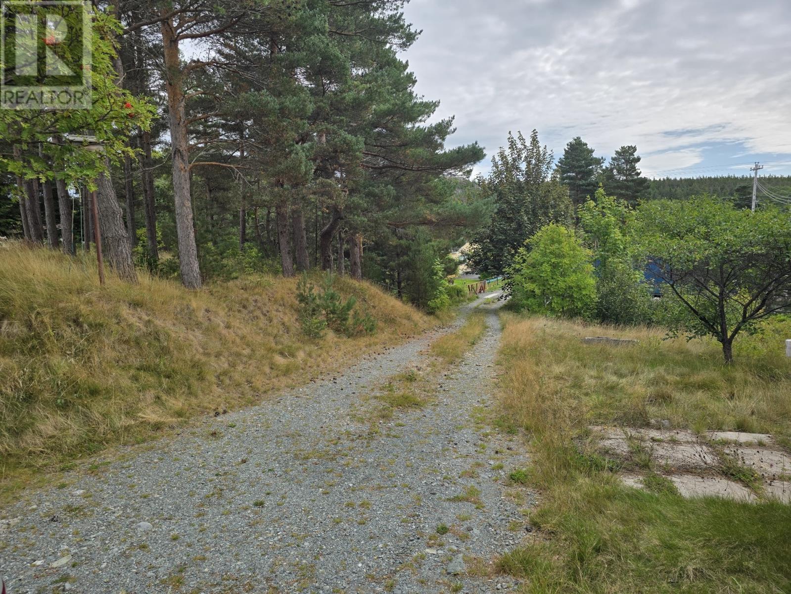 5-9 Spracklins Lane, Brigus, Newfoundland & Labrador  A0A 1K0 - Photo 5 - 1291241