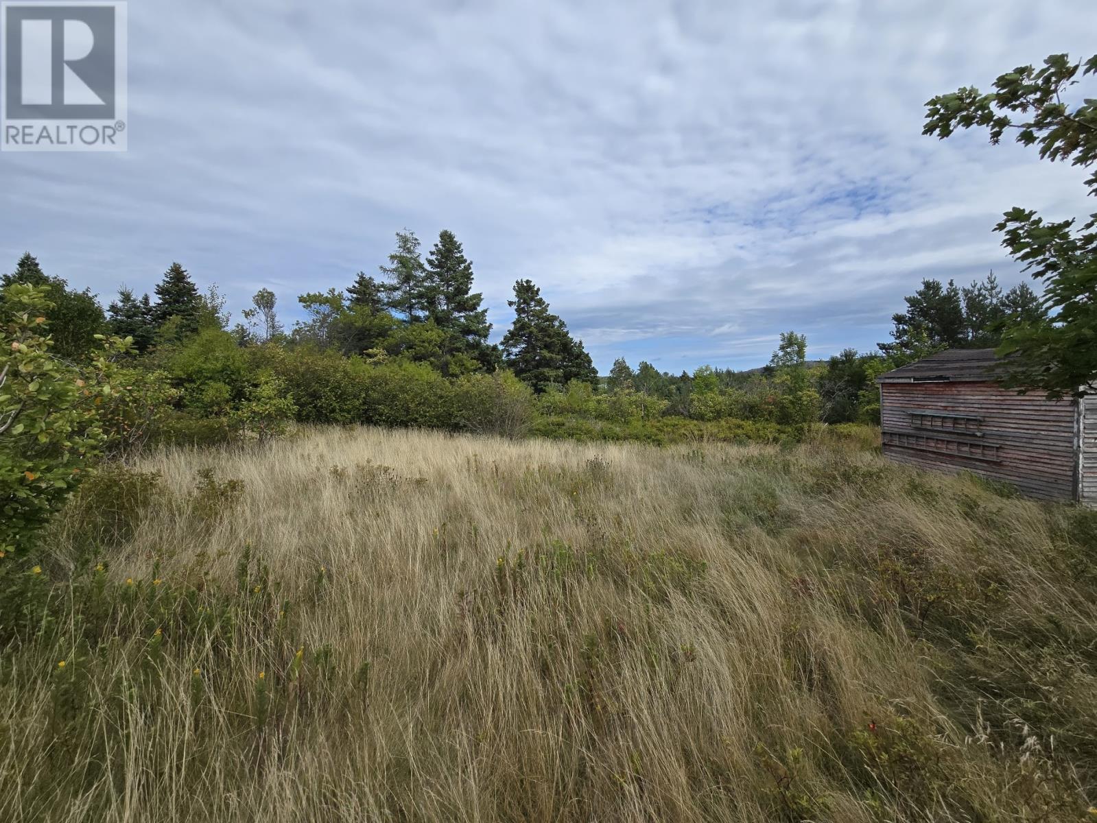 5-9 Spracklins Lane, Brigus, Newfoundland & Labrador  A0A 1K0 - Photo 7 - 1291241