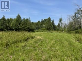 12990 #7 Highway, Lanark Highlands, Ontario  K7C 3P1 - Photo 3 - X12714394