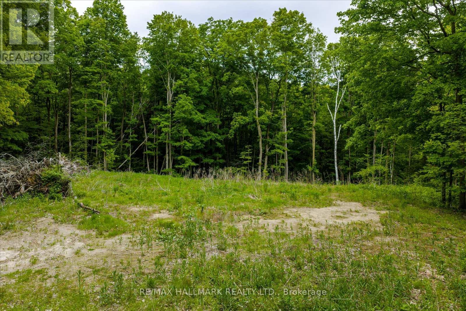 430 Churchill Avenue, King, Ontario  L7B 0G9 - Photo 11 - N12714324