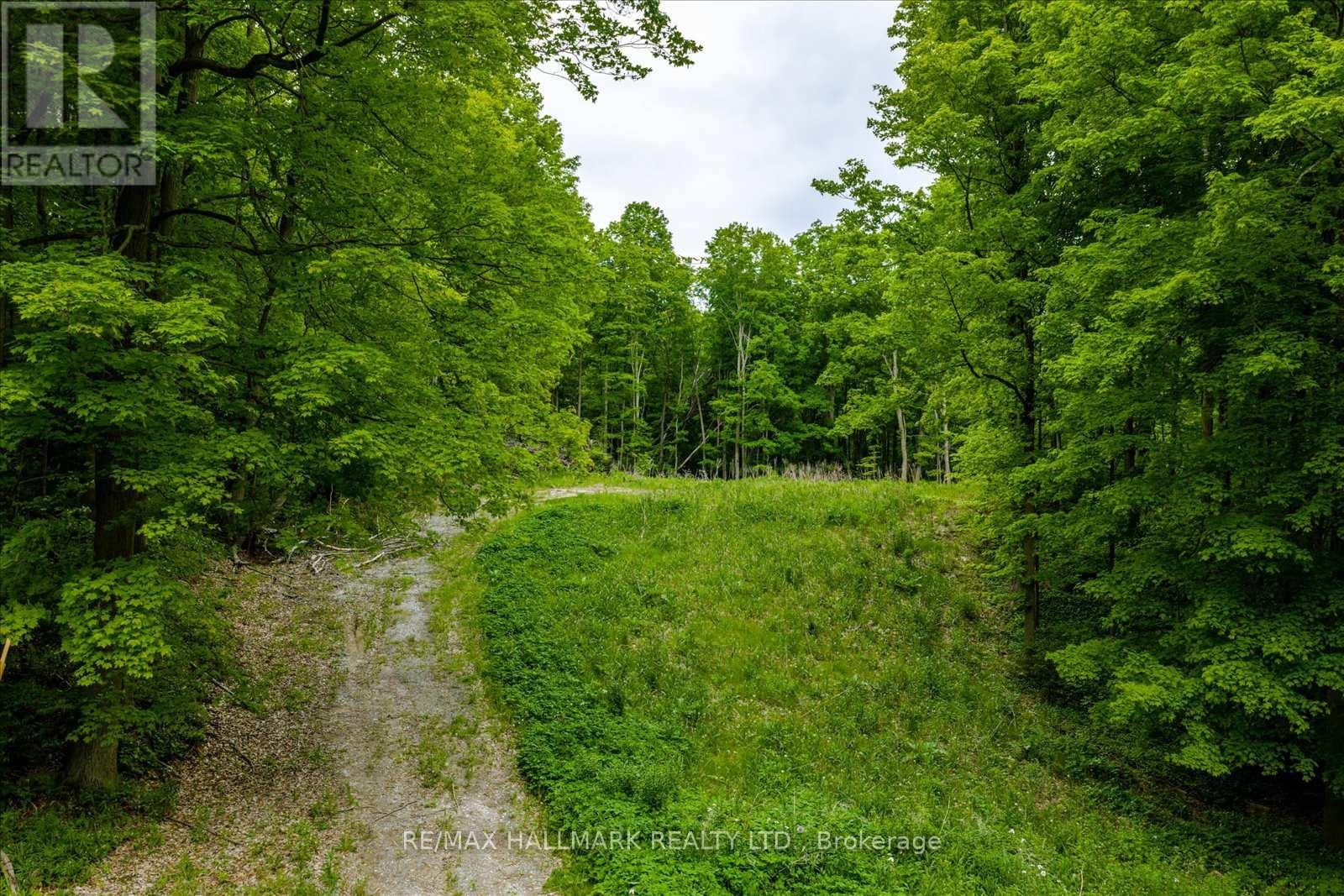 430 Churchill Avenue, King, Ontario  L7B 0G9 - Photo 12 - N12714324