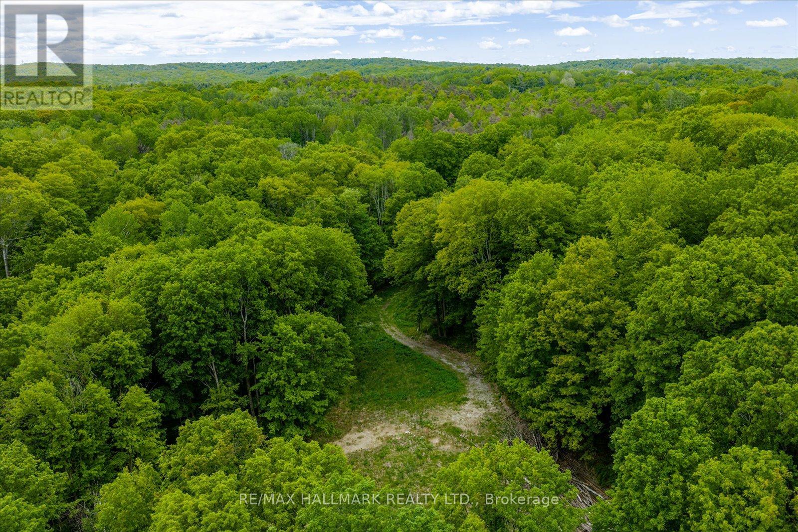 430 Churchill Avenue, King, Ontario  L7B 0G9 - Photo 13 - N12714324