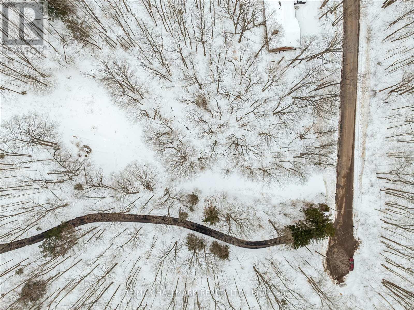 430 Churchill Avenue, King, Ontario  L7B 0G9 - Photo 15 - N12714324