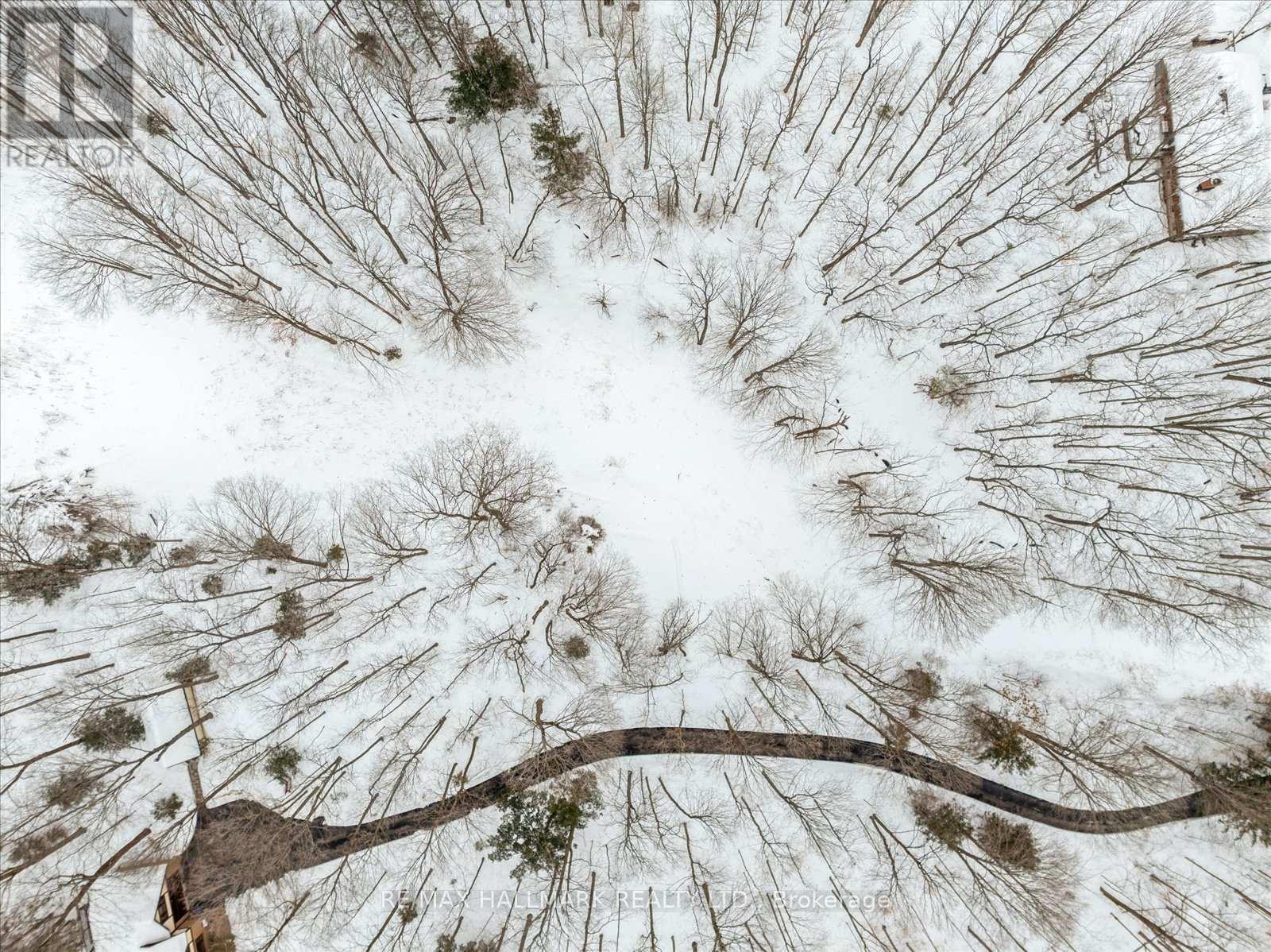 430 Churchill Avenue, King, Ontario  L7B 0G9 - Photo 16 - N12714324