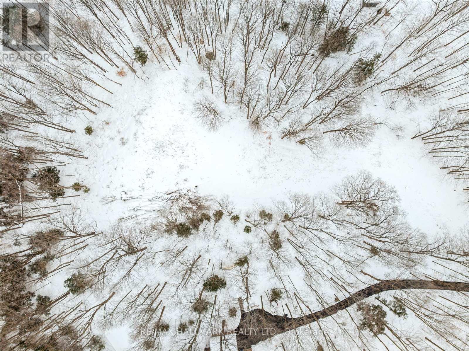 430 Churchill Avenue, King, Ontario  L7B 0G9 - Photo 17 - N12714324