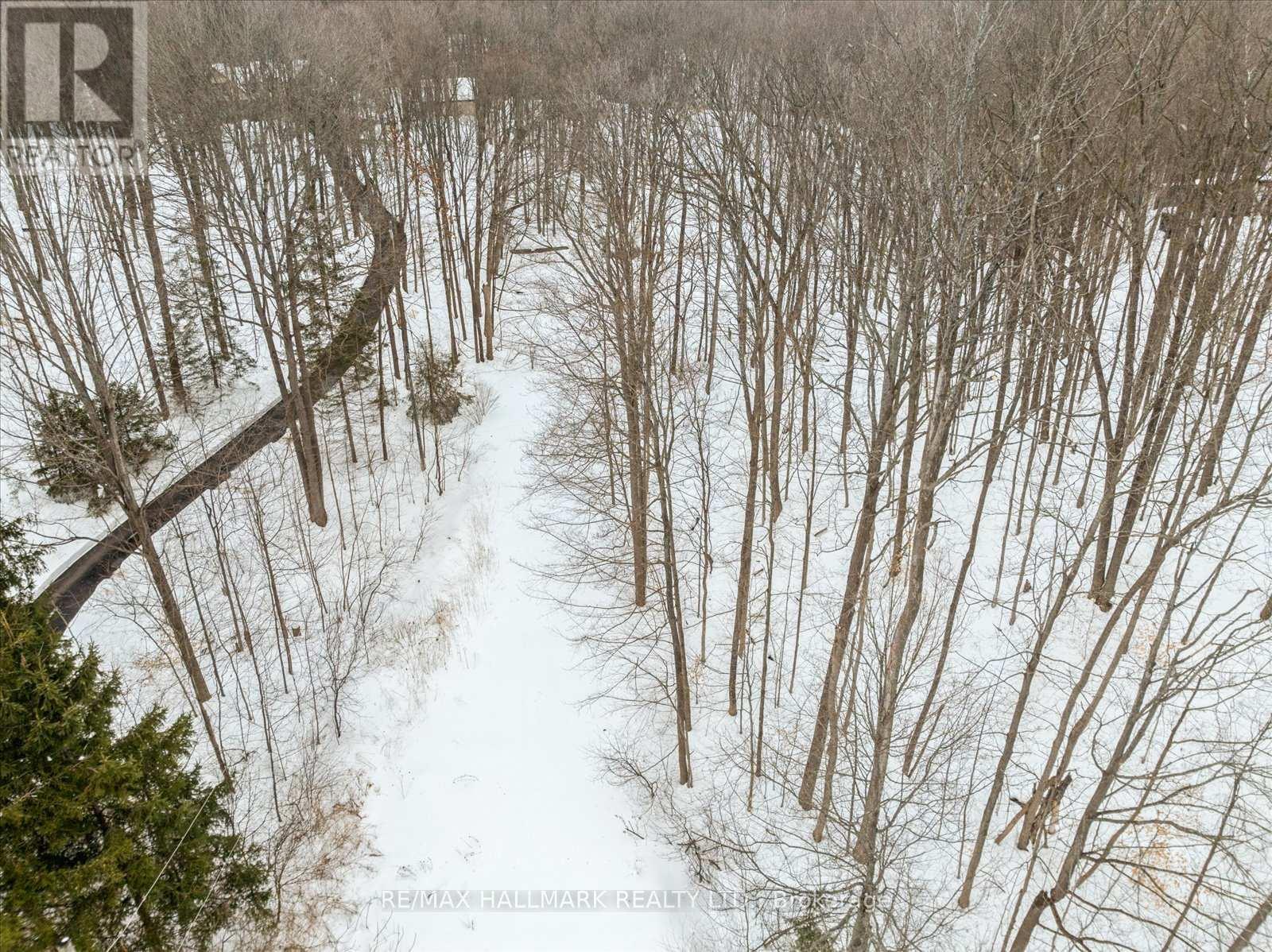 430 Churchill Avenue, King, Ontario  L7B 0G9 - Photo 18 - N12714324