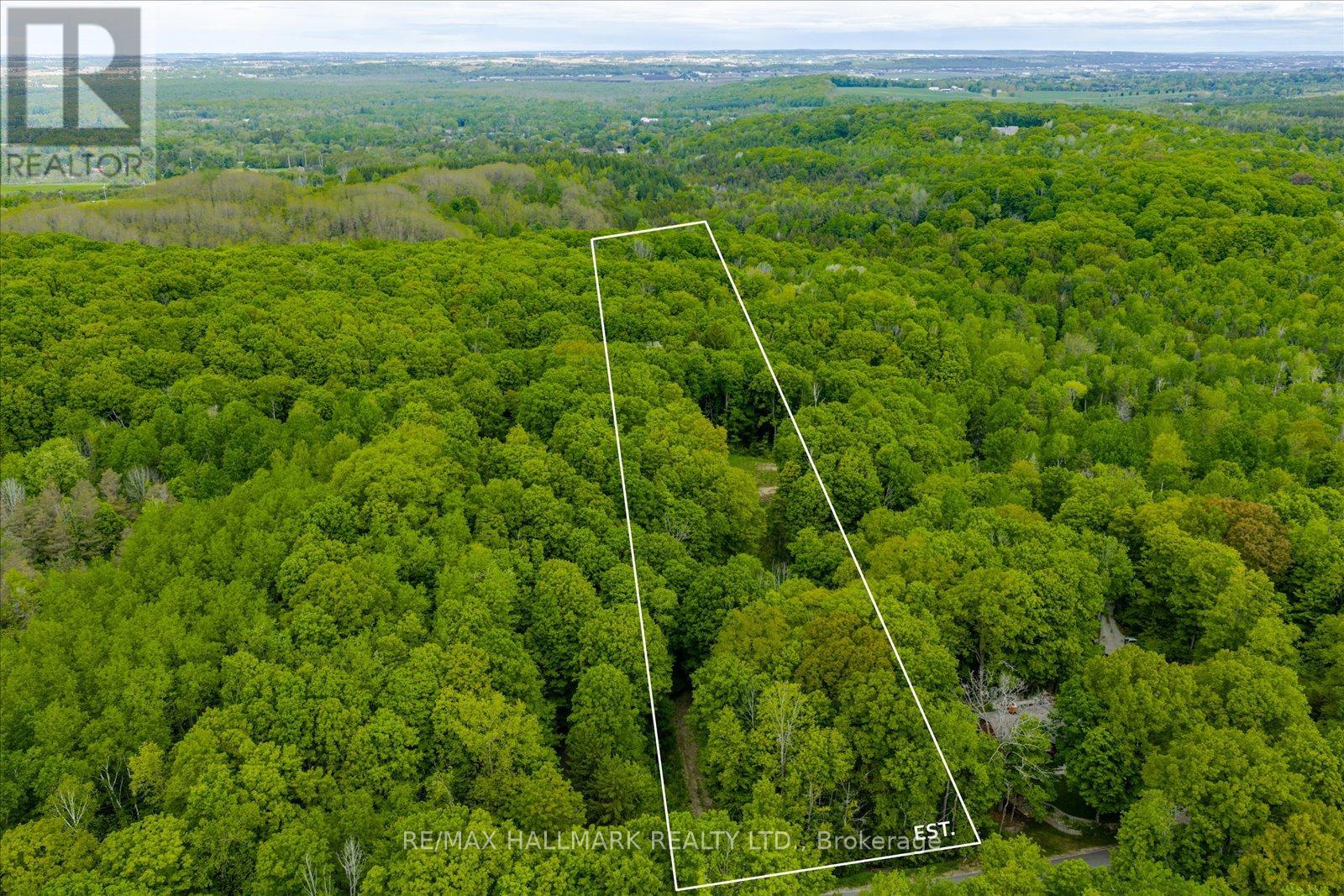 430 Churchill Avenue, King, Ontario  L7B 0G9 - Photo 4 - N12714324