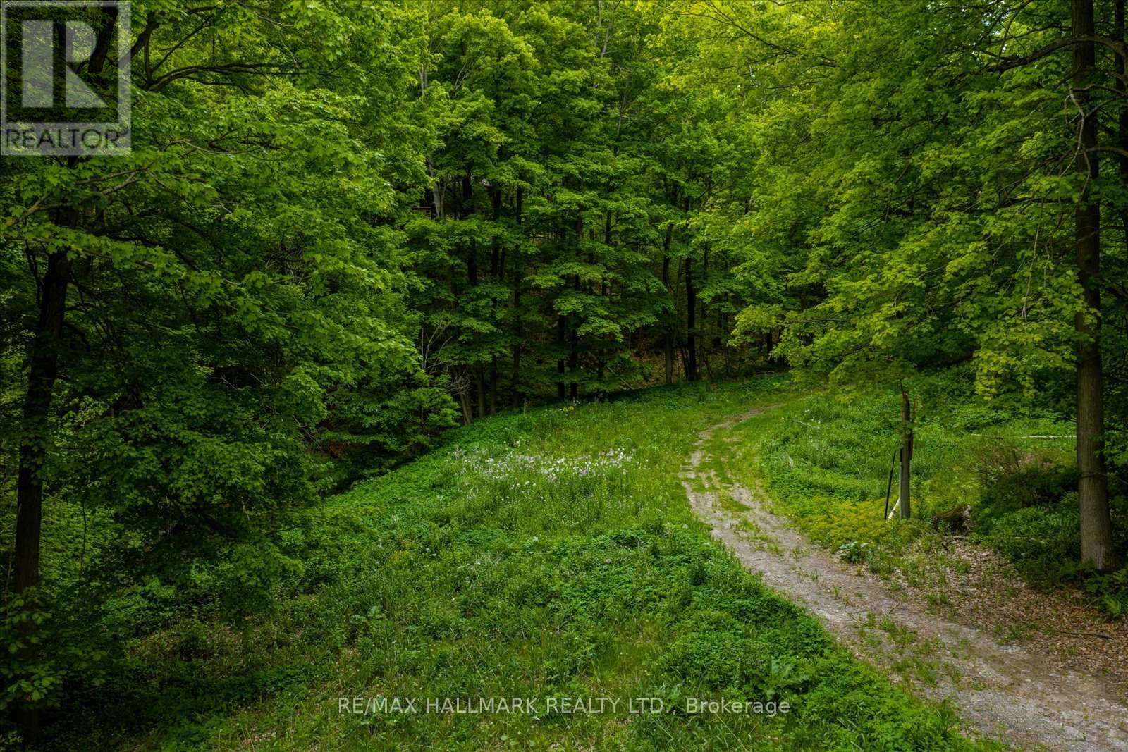 430 Churchill Avenue, King, Ontario  L7B 0G9 - Photo 7 - N12714324