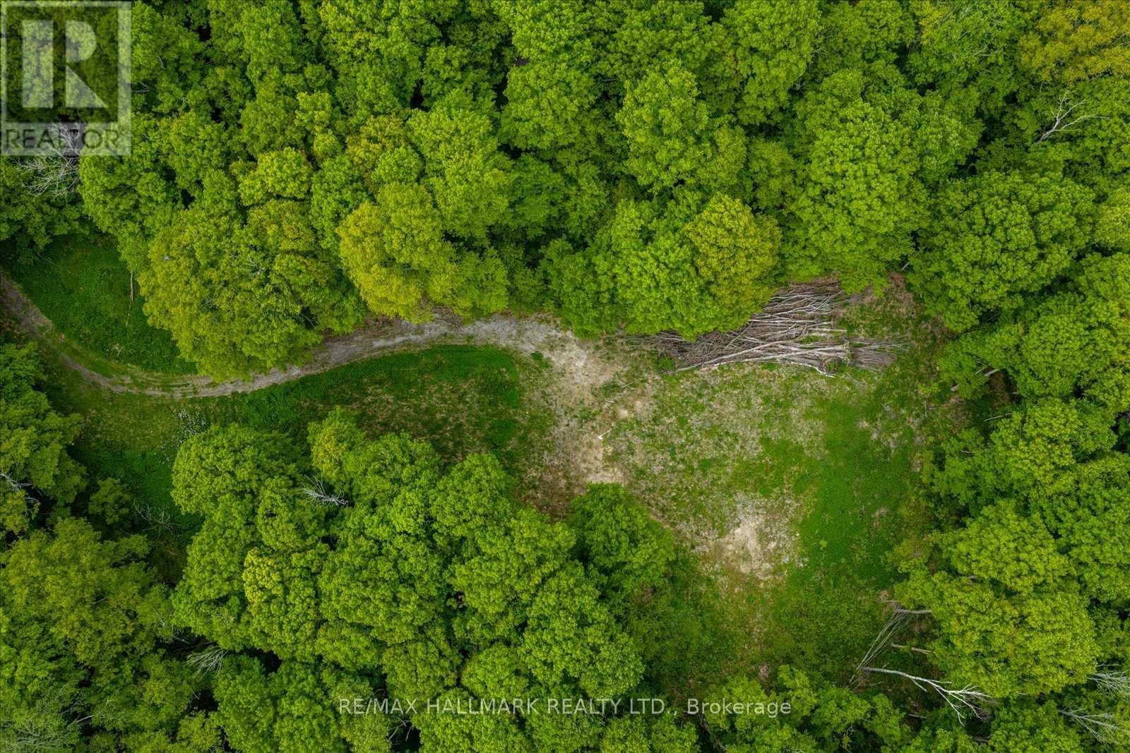 430 Churchill Avenue, King, Ontario  L7B 0G9 - Photo 8 - N12714324