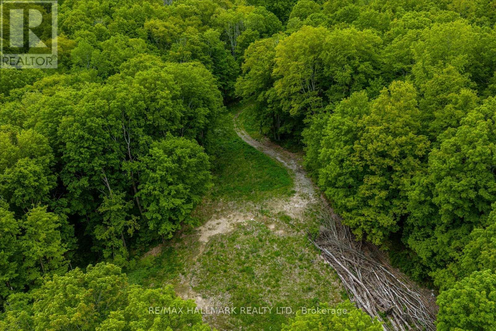 430 Churchill Avenue, King, Ontario  L7B 0G9 - Photo 9 - N12714324