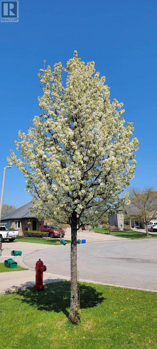 45 Nathalie Court, Welland, Ontario  L3B 6H7 - Photo 4 - X12714468