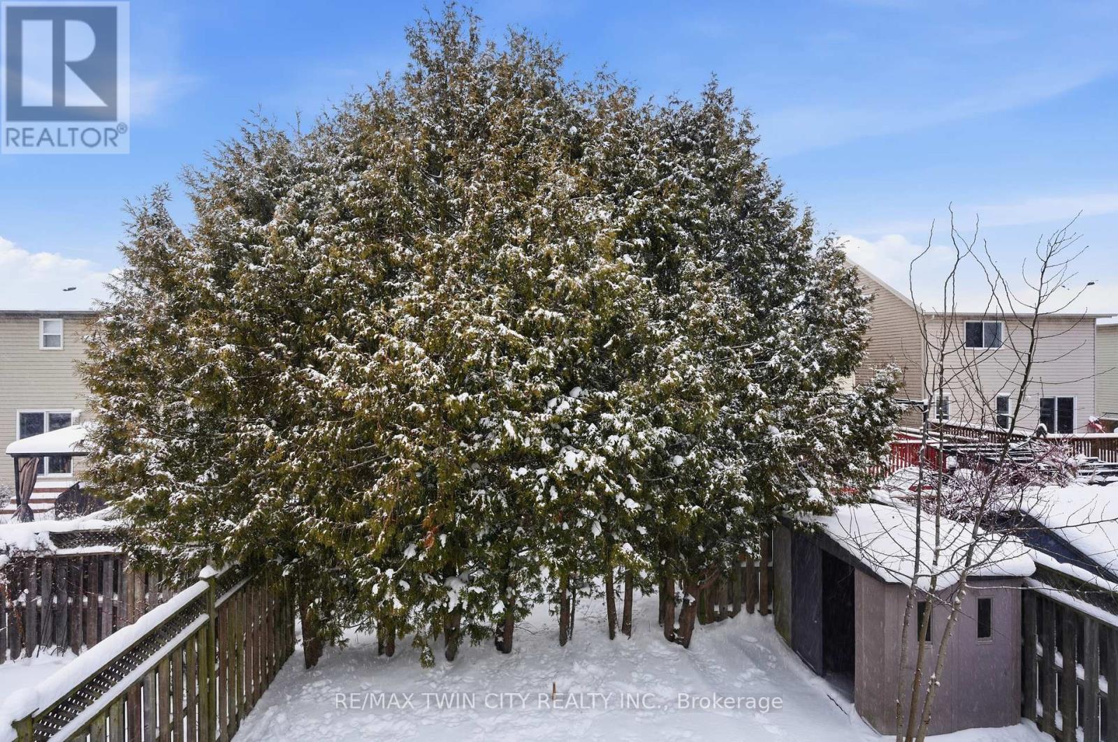 50 Dahlia Street, Kitchener, Ontario  N2E 4B1 - Photo 40 - X12714482