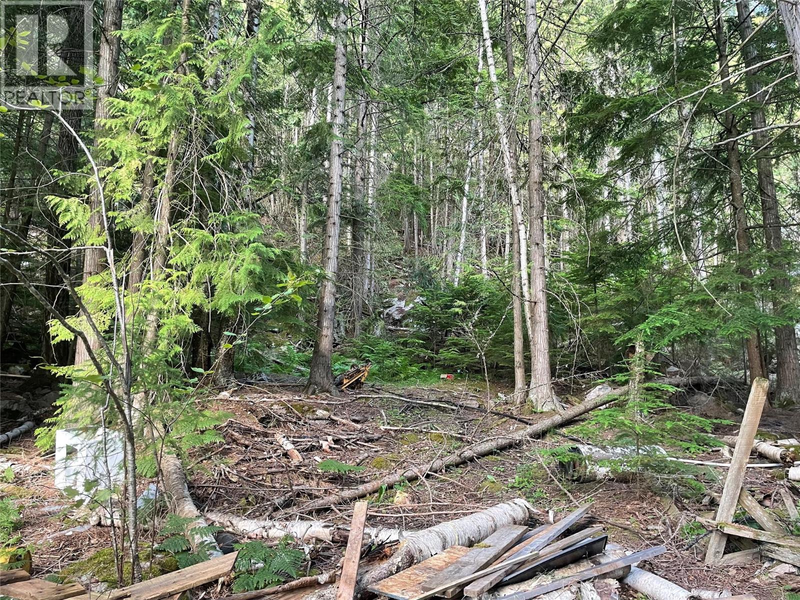 4577 6 Highway, Burton, British Columbia  V0G 1E0 - Photo 8 - 10373366