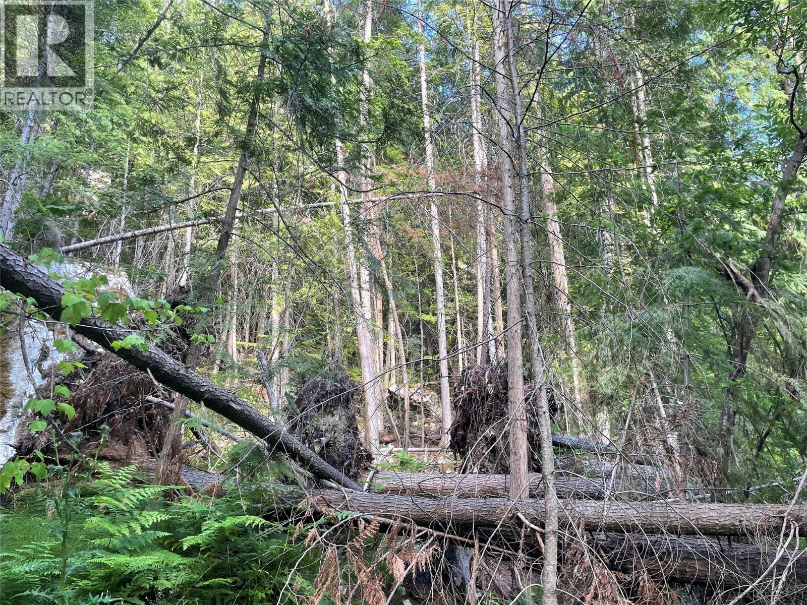 4577 6 Highway, Burton, British Columbia  V0G 1E0 - Photo 9 - 10373366