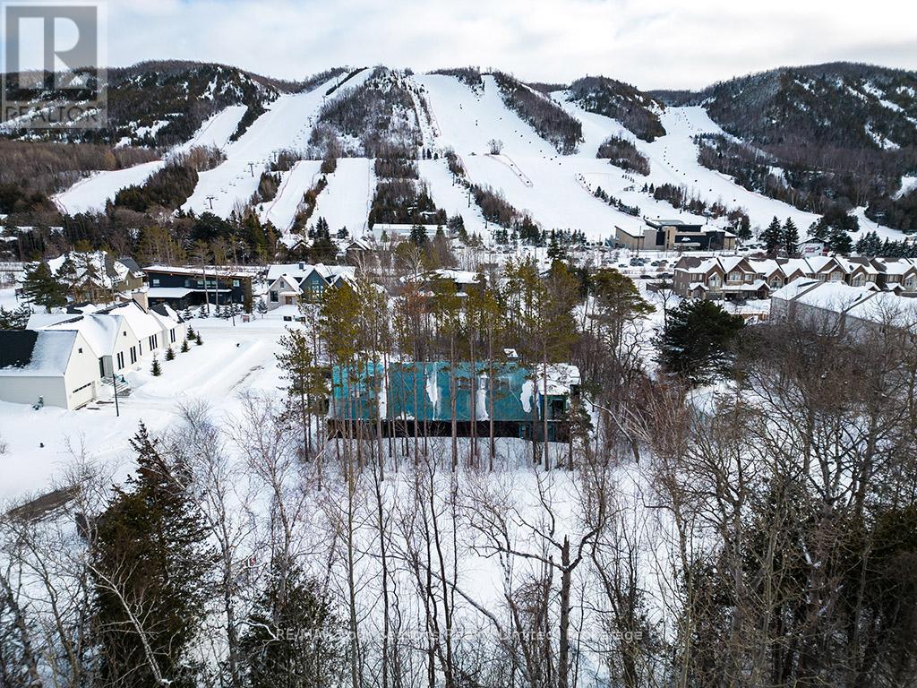 106 Deer Lane, Blue Mountains, Ontario  N0H 1J0 - Photo 11 - X12714510