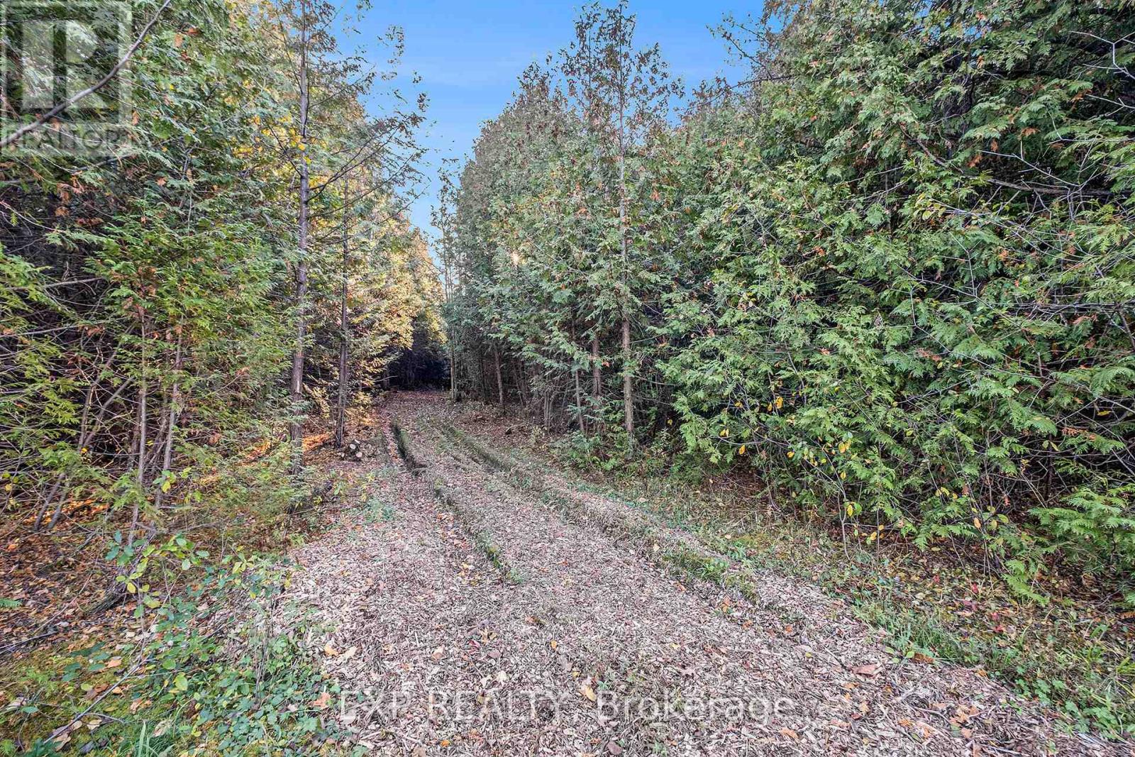 8014 Parkway Road, Ottawa, Ontario  K0A 2P0 - Photo 10 - X12714810